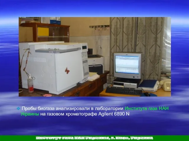 Пробы биогаза анализировали в лаборатории Института газа НАН Украины на