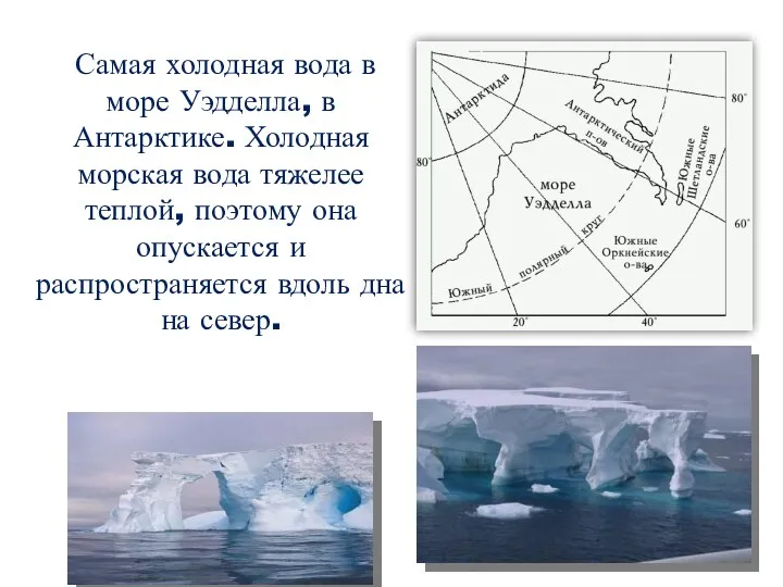 Самая холодная вода в море Уэдделла, в Антарктике. Холодная морская