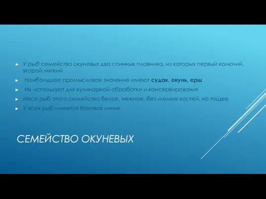 СЕМЕЙСТВО ОКУНЕВЫХ У рыб семейства окуневых два спинных плавника, из