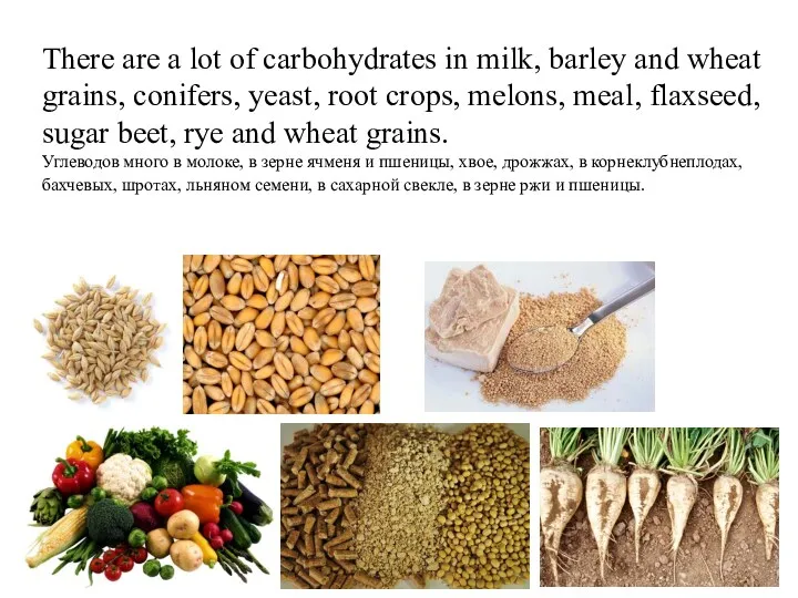 There are a lot of carbohydrates in milk, barley and