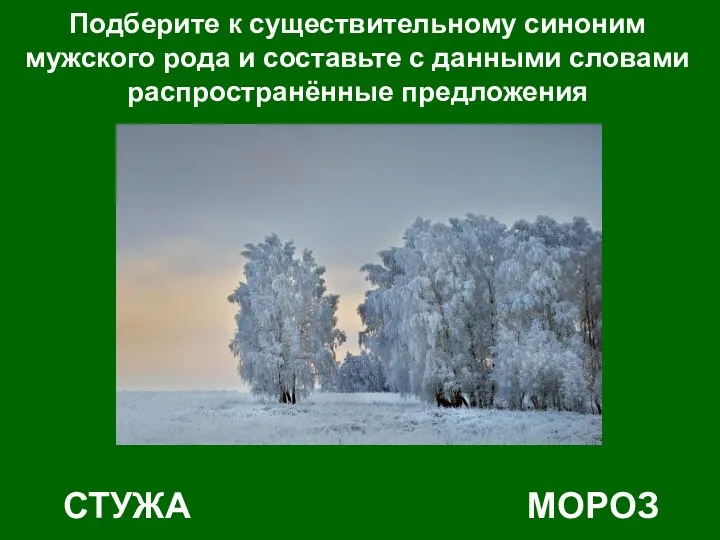 Подберите к существительному синоним мужского рода и составьте с данными словами распространённые предложения СТУЖА МОРОЗ