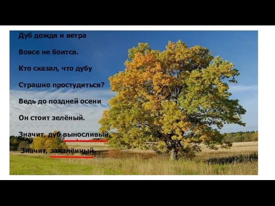 Дуб дождя и ветра Вовсе не боится. Кто сказал, что дубу Страшно простудиться?