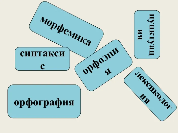 морфемика пунктуация лексикология орфография синтаксис орфоэпия