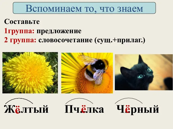 Составьте 1группа: предложение 2 группа: словосочетание (сущ.+прилаг.) Ж..лтый Пч..лка Ч..рный