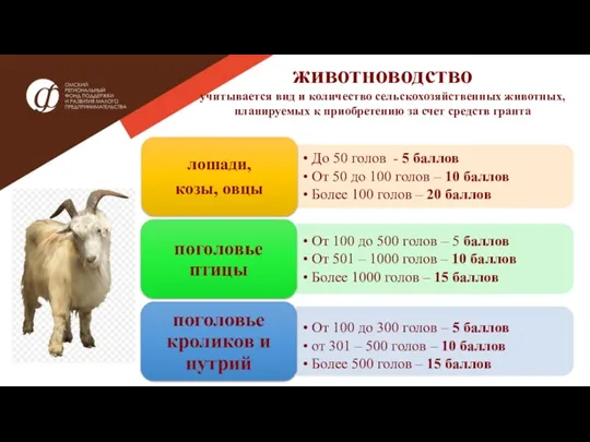 животноводство учитывается вид и количество сельскохозяйственных животных, планируемых к приобретению за счет средств гранта