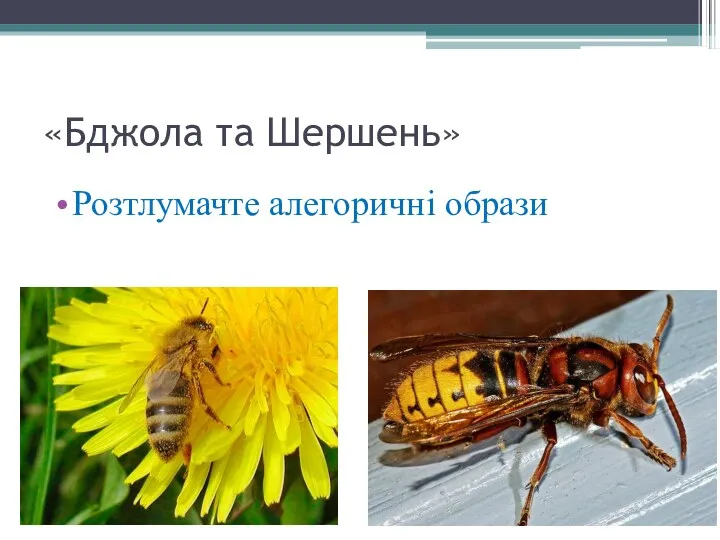 «Бджола та Шершень» Розтлумачте алегоричні образи