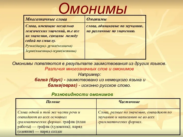 Омонимы Разновидности омонимов: Омонимы появляются в результате заимствования из других