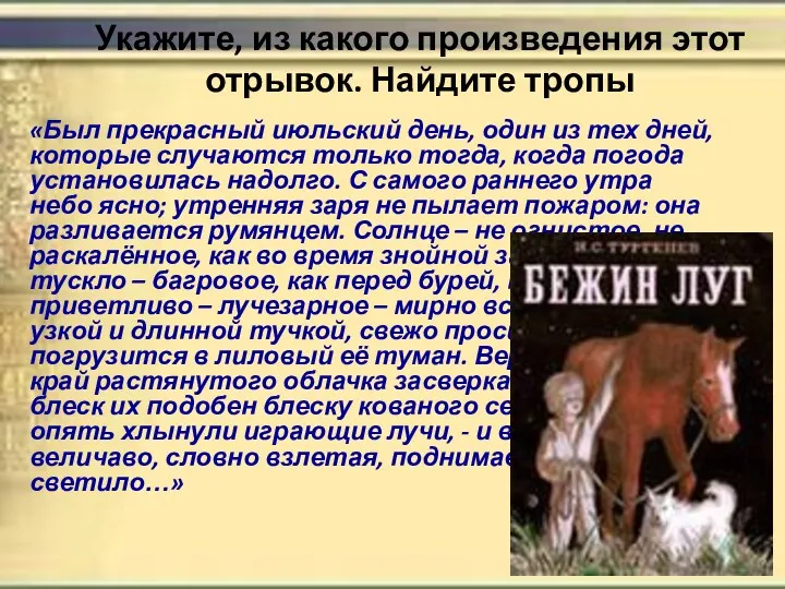 Укажите, из какого произведения этот отрывок. Найдите тропы «Был прекрасный