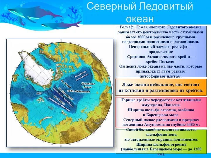 Северный Ледовитый океан Рельеф: Ложе Северного Ледовитого океана занимает его