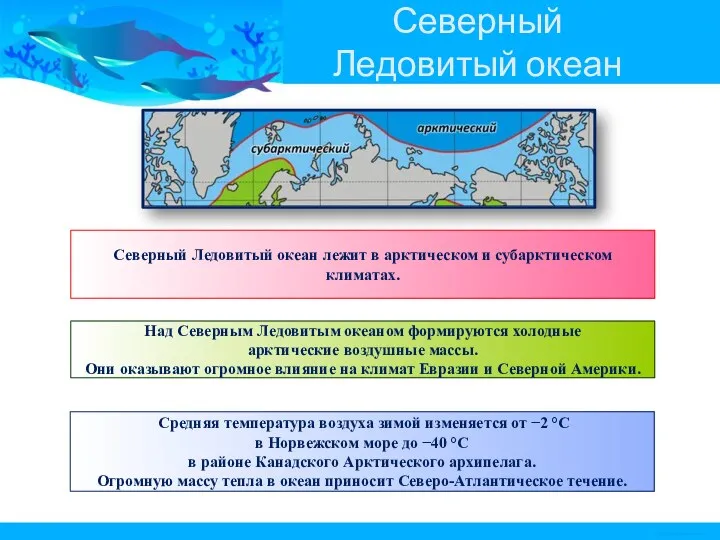 Северный Ледовитый океан Северный Ледовитый океан лежит в арктическом и