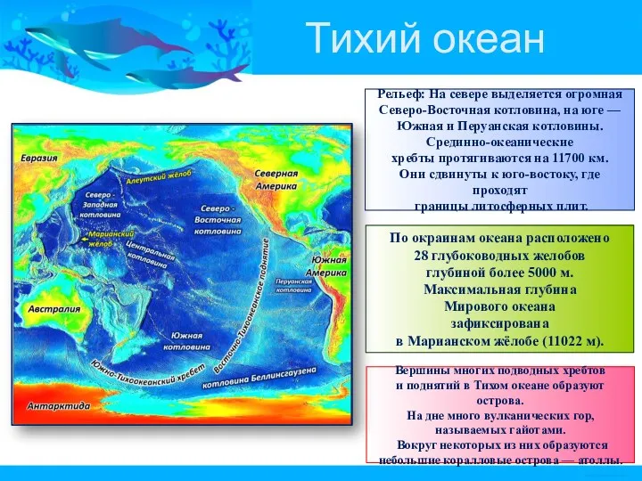 Тихий океан Рельеф: На севере выделяется огромная Северо-Восточная котловина, на