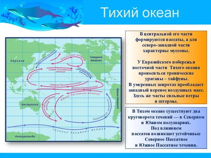 Тихий океан В Тихом океане существуют два круговорота течений —