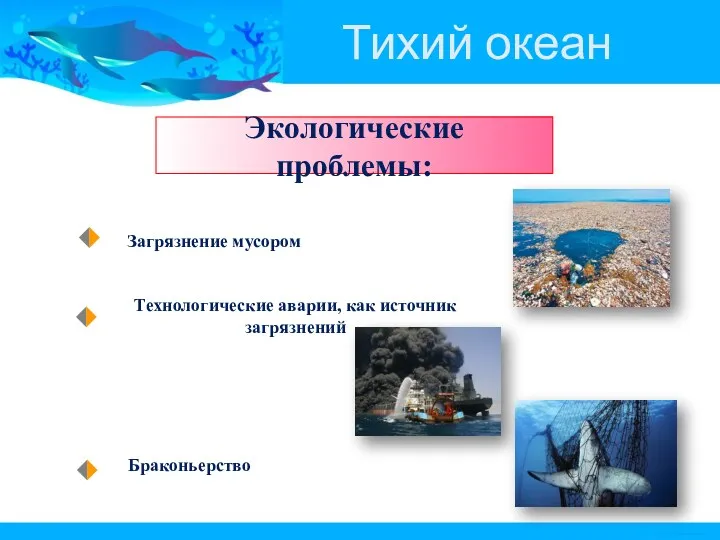 Тихий океан Экологические проблемы: Загрязнение мусором Технологические аварии, как источник загрязнений Браконьерство