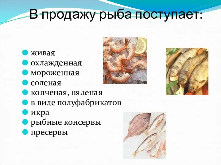 В продажу рыба поступает: живая охлажденная мороженная соленая копченая, вяленая