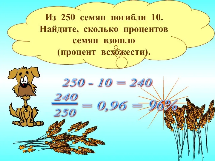 Из 250 семян погибли 10. Найдите, сколько процентов семян взошло