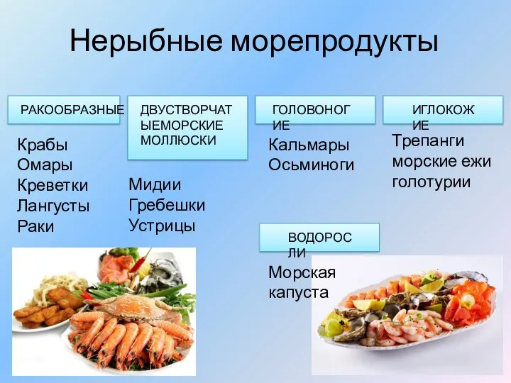 Нерыбные морепродукты РАКООБРАЗНЫЕ ДВУСТВОРЧАТЫЕМОРСКИЕ МОЛЛЮСКИ ГОЛОВОНОГИЕ ИГЛОКОЖИЕ ВОДОРОСЛИ Крабы Омары