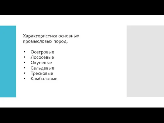 Характеристика основных промысловых пород: Осетровые Лососевые Окуневые Сельдевые Тресковые Камбаловые