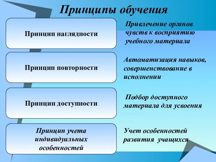 Принцип наглядности Принцип повторности Принцип доступности Принцип учета индивидуальных особенностей Привлечение органов чувств