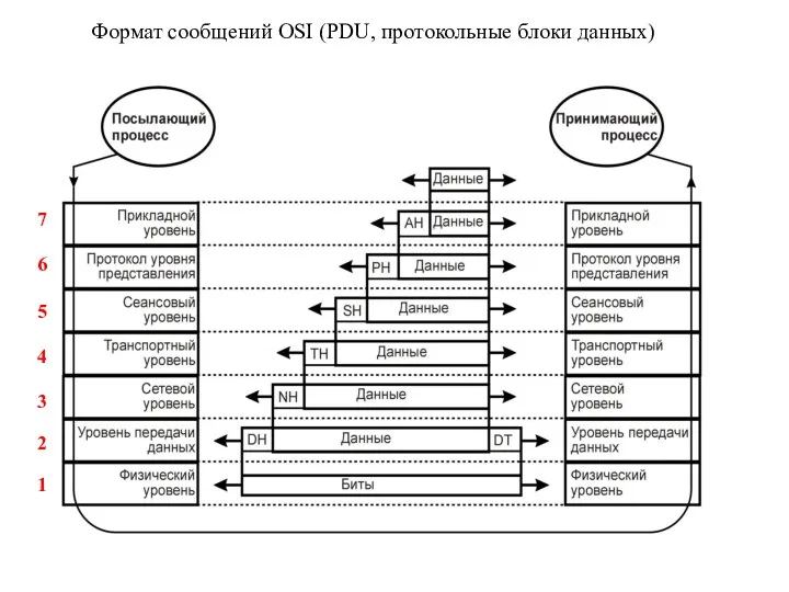 Формат сообщений OSI (PDU, протокольные блоки данных) 7 6 5 4 3 2 1