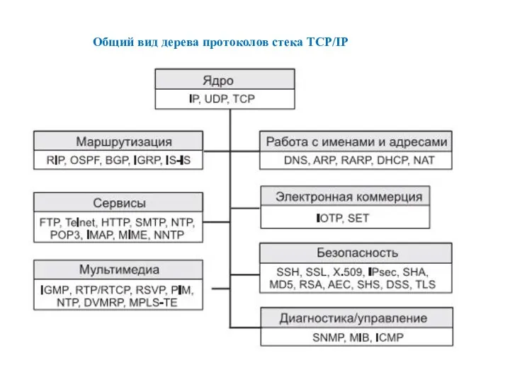 Общий вид дерева протоколов стека TCP/IP
