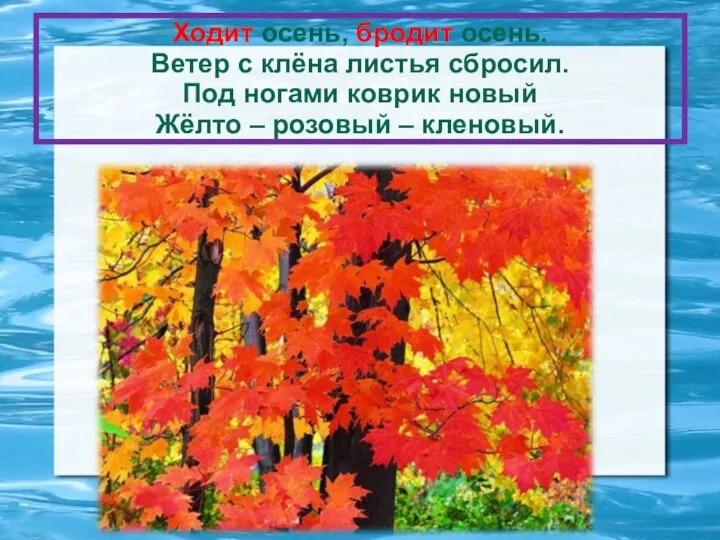 Ходит осень, бродит осень. Ветер с клёна листья сбросил. Под