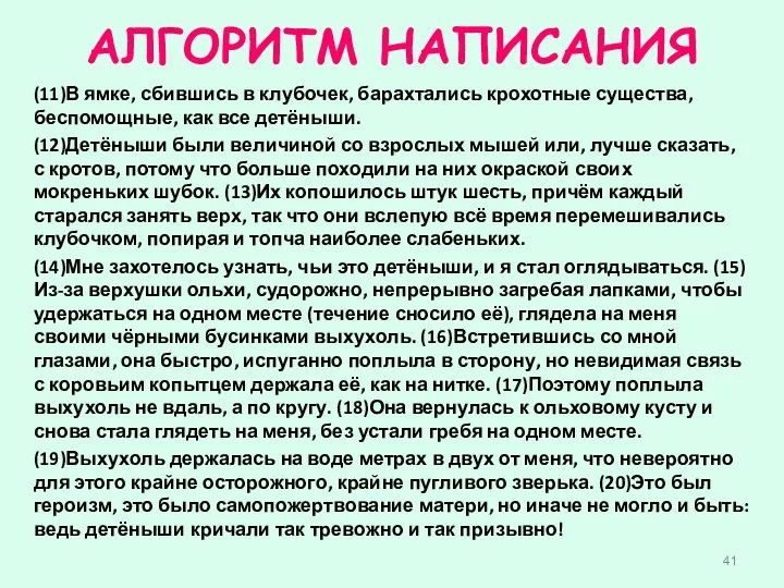 АЛГОРИТМ НАПИСАНИЯ (11)В ямке, сбившись в клубочек, барахтались крохотные существа,