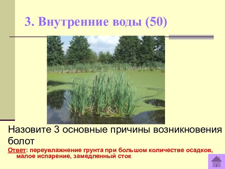 3. Внутренние воды (50) Назовите 3 основные причины возникновения болот