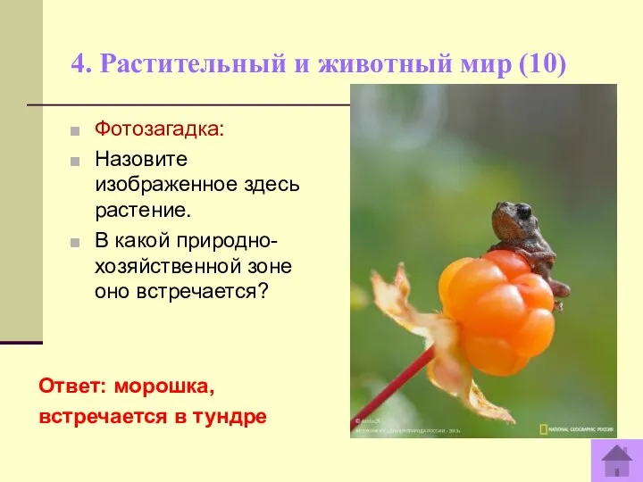 4. Растительный и животный мир (10) Ответ: морошка, встречается в