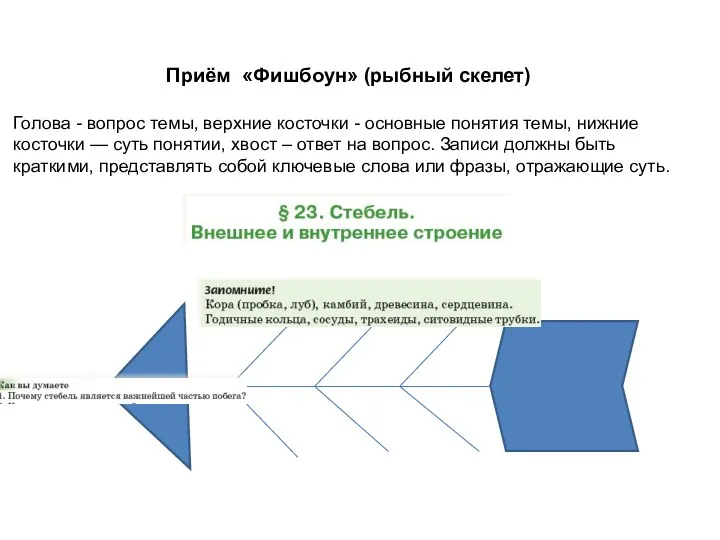 Приём «Фишбоун» (рыбный скелет) Голова - вопрос темы, верхние косточки