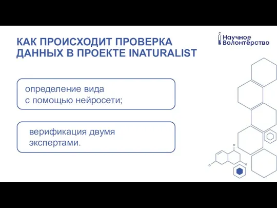 КАК ПРОИСХОДИТ ПРОВЕРКА ДАННЫХ В ПРОЕКТЕ INATURALIST определение вида с помощью нейросети; верификация двумя экспертами.