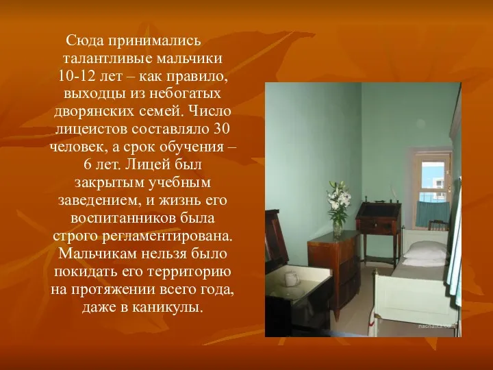 Сюда принимались талантливые мальчики 10-12 лет – как правило, выходцы из небогатых дворянских