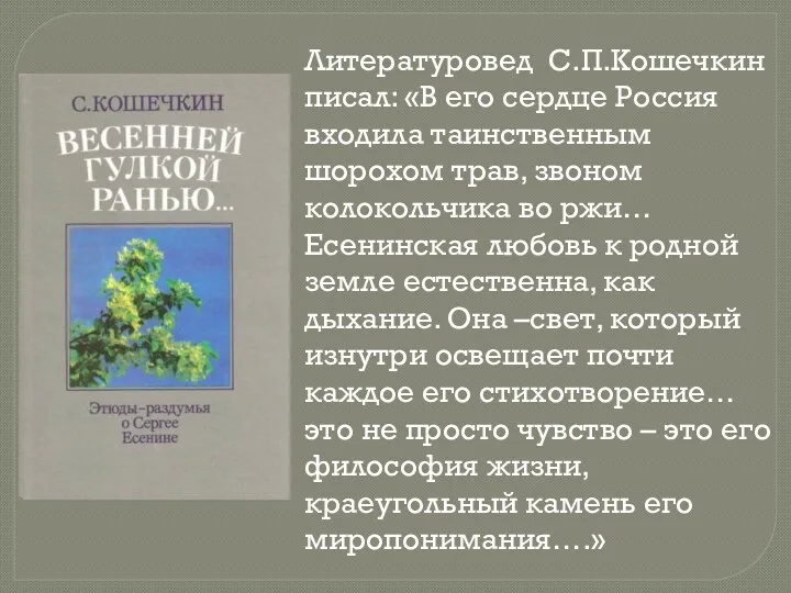 Литературовед С.П.Кошечкин писал: «В его сердце Россия входила таинственным шорохом