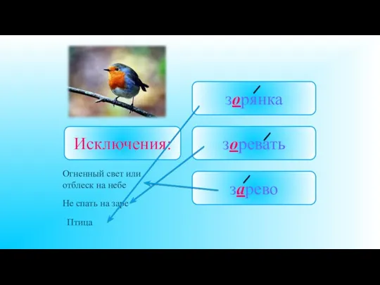 Исключения: зоревать зарево зорянка Не спать на заре Птица Огненный свет или отблеск на небе