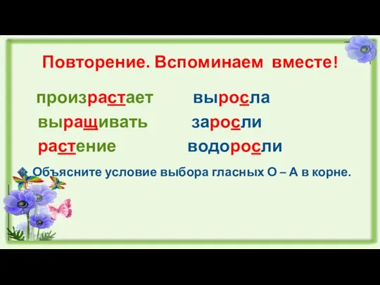 Повторение. Вспоминаем вместе! произрастает выросла выращивать заросли растение водоросли Объясните условие выбора гласных