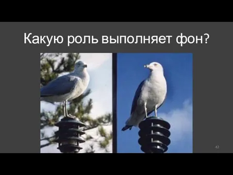 Какую роль выполняет фон?