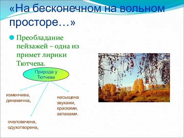 «На бесконечном на вольном просторе…» Преобладание пейзажей – одна из