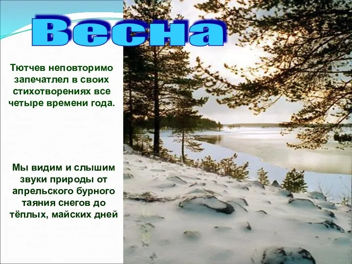 Мы видим и слышим звуки природы от апрельского бурного таяния