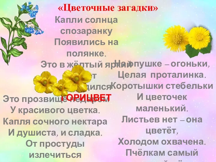 «Цветочные загадки» Это прозвище недаром У красивого цветка. Капля сочного