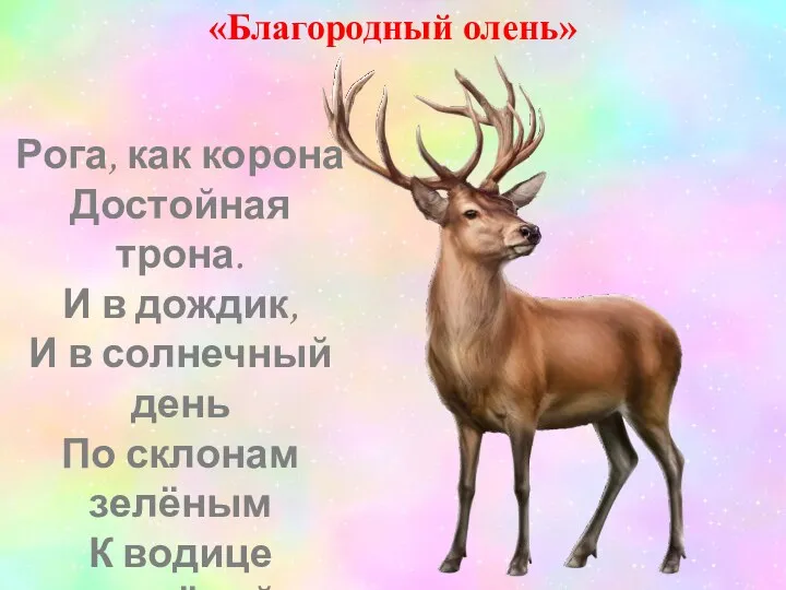 «Благородный олень» Рога, как корона Достойная трона. И в дождик,