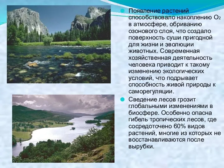 Появление растений способствовало накоплению О2 в атмосфере, обриванию озонового слоя,