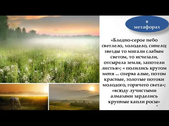 в метафорах «Бледно-серое небо светлело, холодело, синело; звезды то мигали