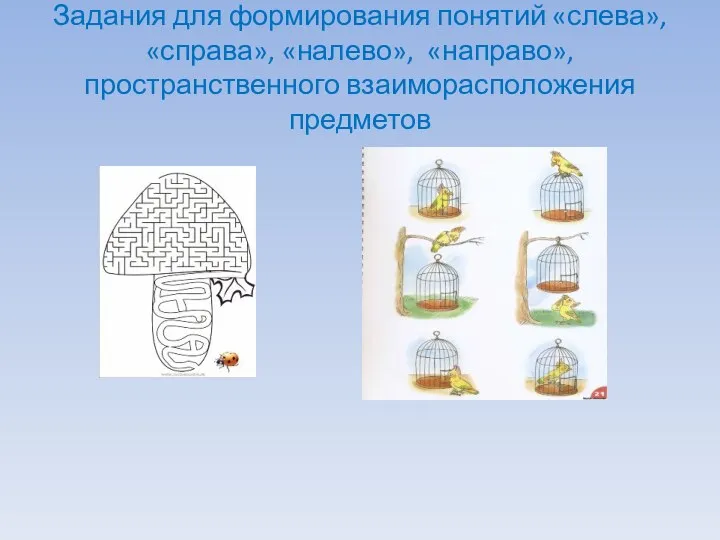 Задания для формирования понятий «слева», «справа», «налево», «направо», пространственного взаиморасположения предметов