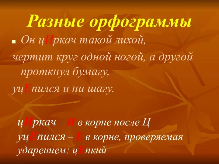 Разные орфограммы Он цИркач такой лихой, чертит круг одной ногой,