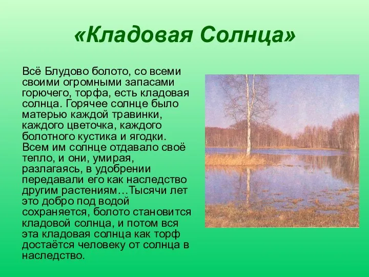 «Кладовая Солнца» Всё Блудово болото, со всеми своими огромными запасами