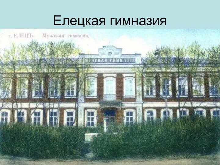 Елецкая гимназия