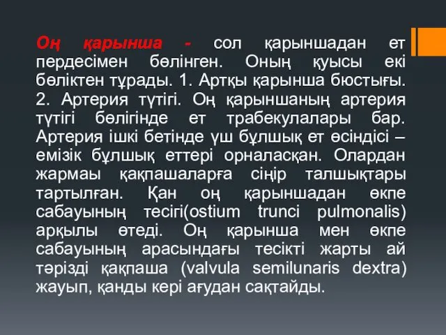 Оң қарынша - сол қарыншадан ет пердесімен бөлінген. Оның қуысы