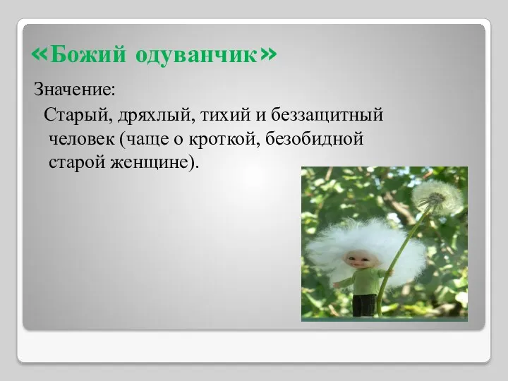 «Божий одуванчик» Значение: Старый, дряхлый, тихий и беззащитный человек (чаще о кроткой, безобидной старой женщине).