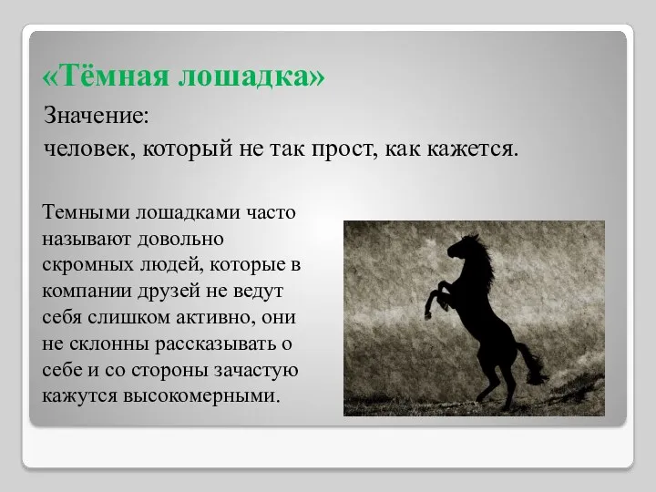 «Тёмная лошадка» Значение: человек, который не так прост, как кажется.