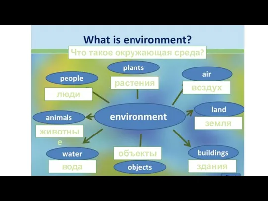 Что такое окружающая среда? воздух земля здания объекты вода животные растения люди