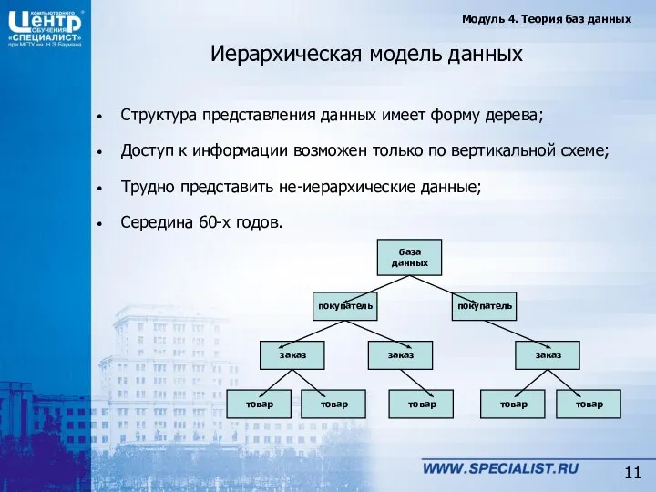 Иерархическая модель данных Структура представления данных имеет форму дерева; Доступ к информации возможен